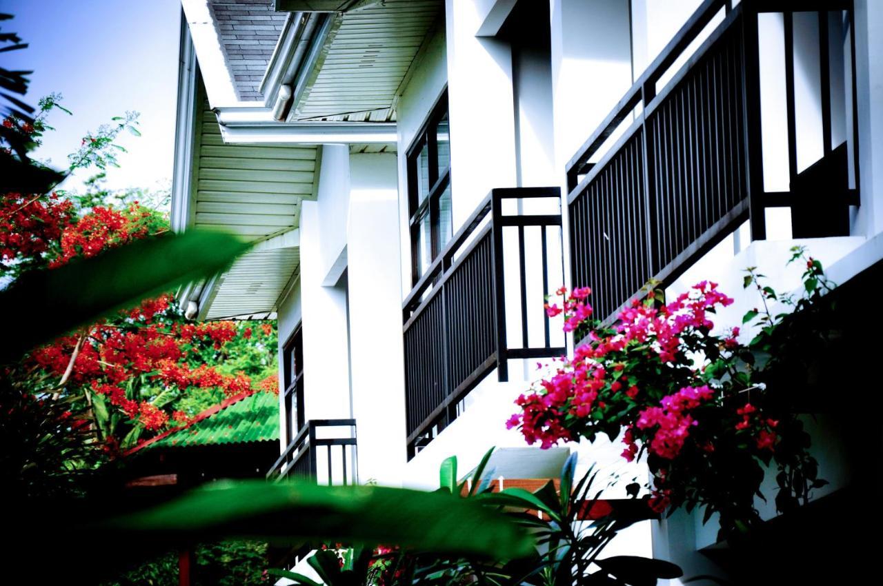 Vila Tana Mysterious Garden Panglao Exteriér fotografie