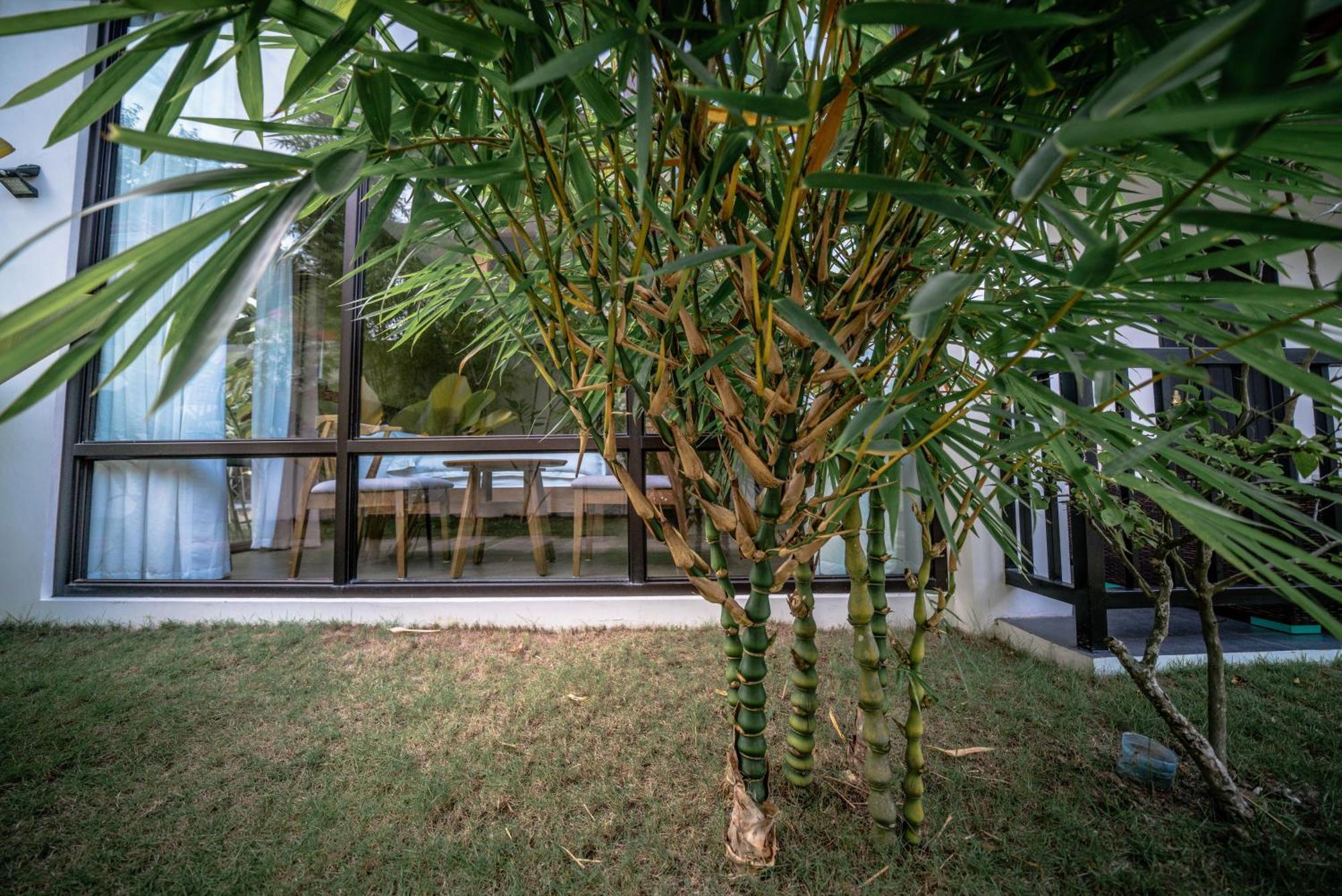 Vila Tana Mysterious Garden Panglao Exteriér fotografie